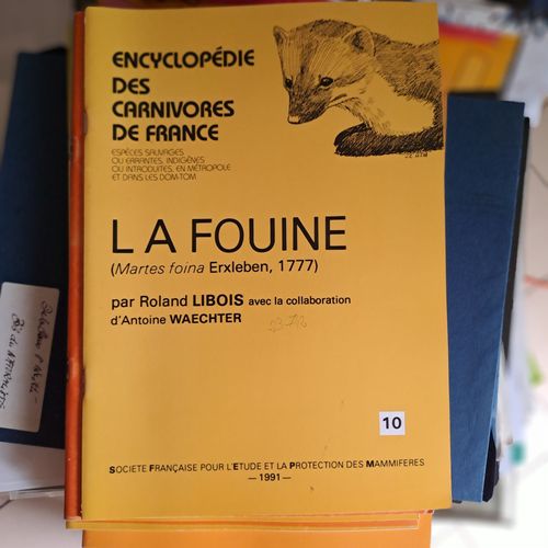Encyclopédie Des Carnivores De France. La Fouine.