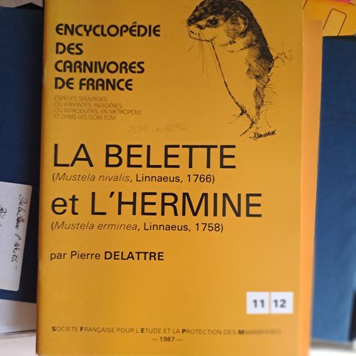 Encyclopédie Des Carnivores De France. La Belette & L'hermine.
