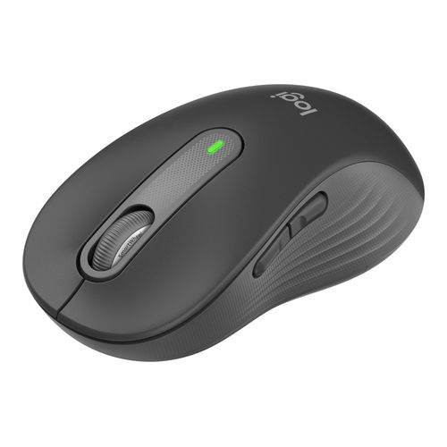 Logitech Signature M650 L pour les entreprises - Souris - pour droitiers - 5 boutons - sans fil - 2.4 GHz, Bluetooth - récepteur USB Logitech Logi Bolt - graphite