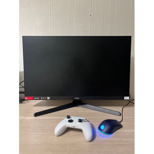 écran iiyama 165hz