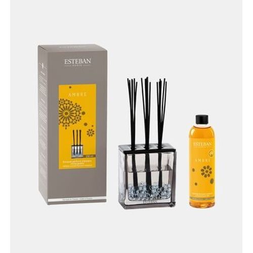 Esteban Paris Parfums - Bouquet parfumé Triptyque et sa recharge - Ambre - 250 ml - Multicolore