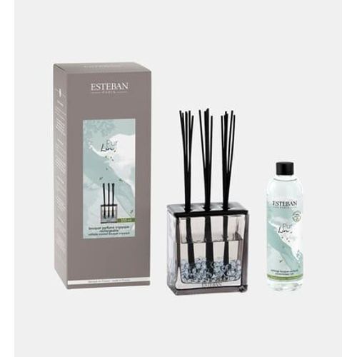 Esteban Paris Parfums - Bouquet parfumé Triptyque et sa recharge - Pur lin - 250 ml - Multicolore