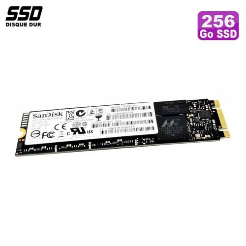 SSD 256Go SanDisk X600 M.2 2280 SD9SN8W-256G-1012 Dell 0FP0FC FP0FC