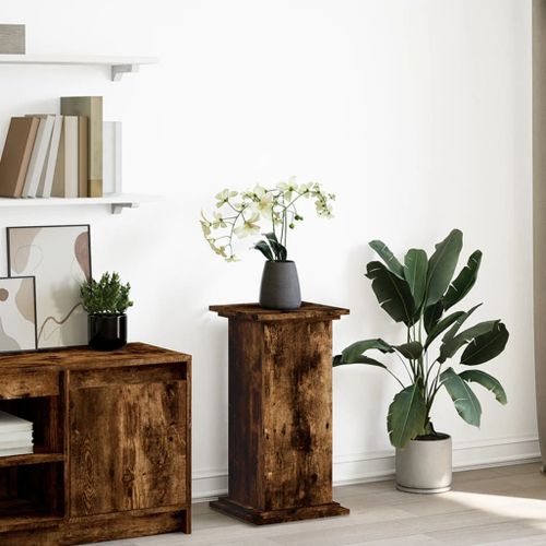 Vidaxl Piédestal Avec Rangement Chêne Fumé 31x30x60 Cm Bois Ingénierie