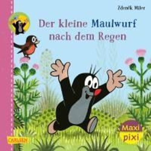 Maxi Pixi 200: Ve 5 Der Maulwurf Nach Dem Regen (5 Exemplare)