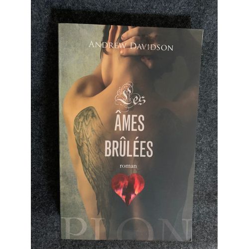 Livre Les Âmes Brûlées D Andrew Davidson