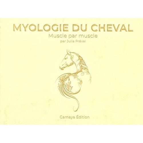 Myologie Du Cheval - Muscle Par Muscle