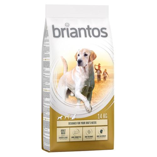 4x1kg Briantos Adult Maxi - Croquettes Pour Chien