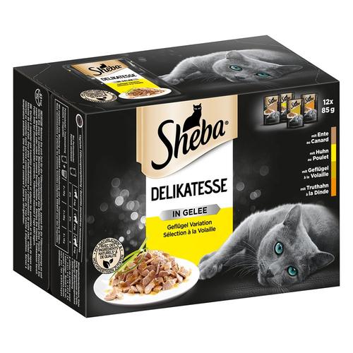 24x85g Délicatesse En Gelée : Variations De Volaille Sélection En Sauce Sheba - Nourriture Pour Chat