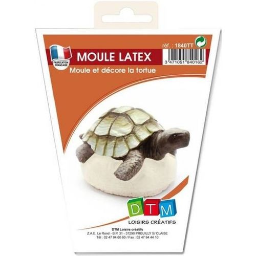 Dtm Moule Plâtre Tortue