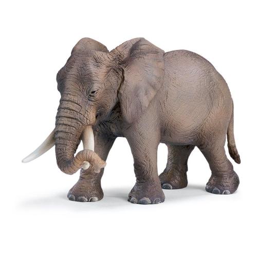 Schleich Eléphant D'afrique Femelle