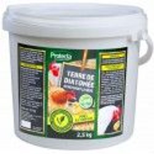Poudre insecticide Terre de diatomée insectes rampants fourmis 2.5kg PROTECTA