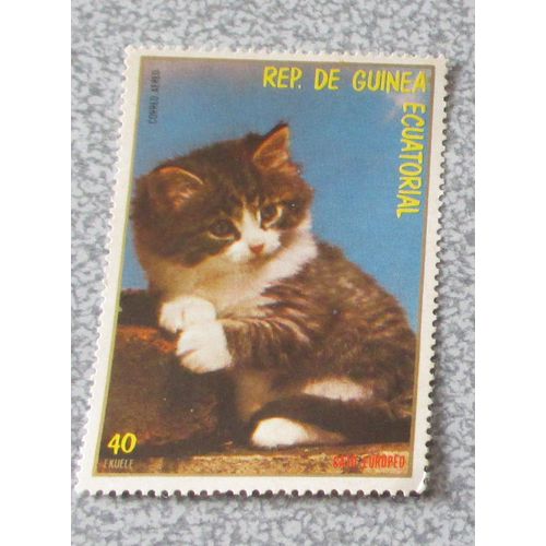 Timbre Guinée Equatoriale Chat Européen De La Série Chats 1978 - Non Oblitéré - 57x40mm - Valeur 40 Ekuele