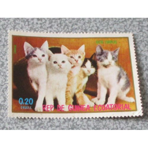 Timbre Guinée Équatoriale - Groupe De 5 Chats Européens De La Série Chats 1976 - Non Oblitéré - 57x40mm - Valeur 0.20 Ekuele