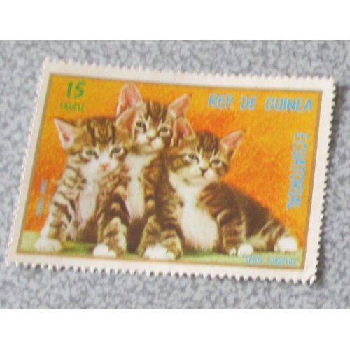 Timbre Guinée Équatoriale - Groupe De 3 Chats Européens De La Série Chats 1976 - Non Oblitéré - 57x40mm - Valeur 15 Ekuele