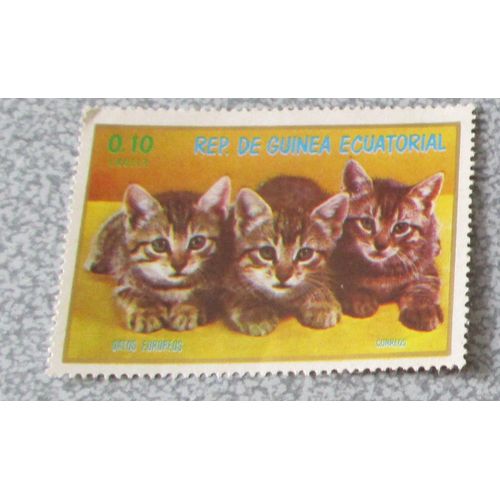 Timbre Guinée Équatoriale - Groupe De 3 Chats Européens De La Série Chats 1976 - Non Oblitéré - 57x40mm - Valeur 0.10 Ekuele