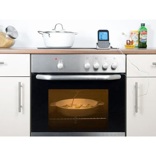 Thermomètre De Cuisson Sans Fil Avec 2 Sondes Xxl