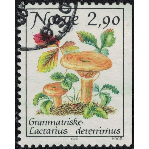Norvège 1988 Oblitéré Used Champignon Lactarius Deterrimus Lactaire Des Épinettes Y&t No 947 Su