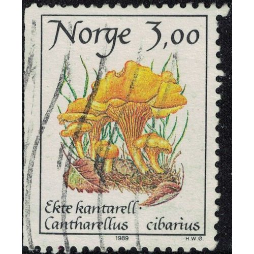 Norvège 1989 Oblitéré Used Champignon Cantharellus Cibarius Girolle Y&t No 966 Su