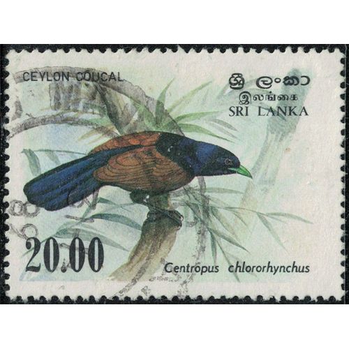 Sri Lanka 1983 Oblitéré Used Oiseau Centropus Chlororhynchus Coucal De Ceylan Y&t Lk 663 Su