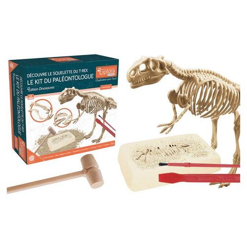 Kit De Paléontologie T,Rex