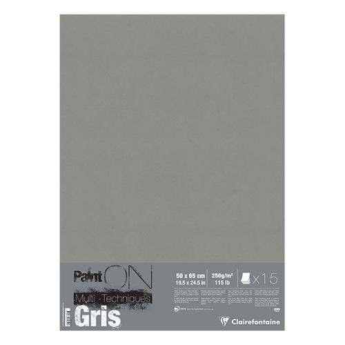 Papier Paint On Gris 50 X 65 Cm 250 G Sur M² Rame 15 Feuilles