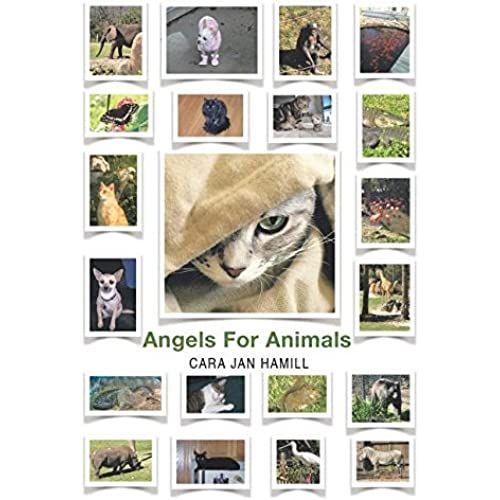 Angels For Animals