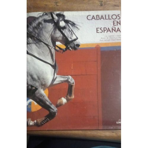 Caballos En Espagne