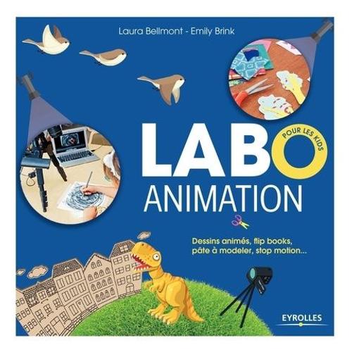 Labo Animation Pour Les Kids - Dessins Animés, Flip Books, Pâte À Modeler, Stop Motion