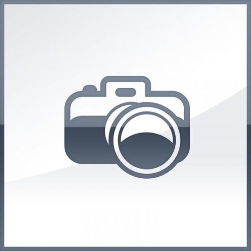 OnePlus Nord 2 256GB Gray Sierra EU