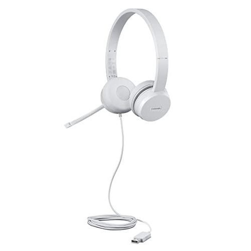 Lenovo 110 - Micro-casque - sur-oreille - filaire - USB-A