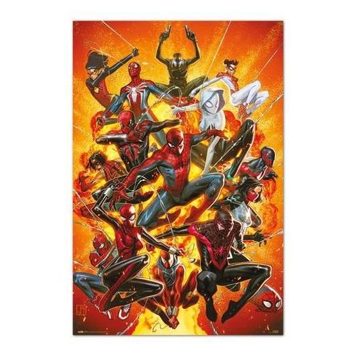 Spider-Man - Multi - Poster 61 X 91cm