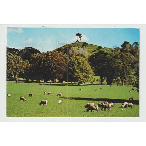 Carte Postale Auckland,Cornwall Park And One Tree Hill,New Zeland,1988