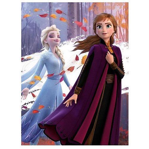 Reine Des Neiges -Disney-Couverture Polaire 100x140 Cm.100% Polyester.