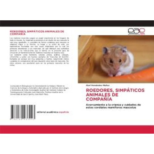 Roedores, Simpáticos Animales De Compañía
