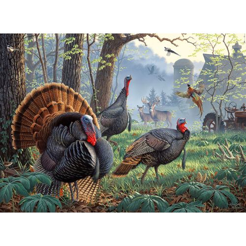 Larry Zach - Old Tom's Farm - Puzzle 1000 Pièces