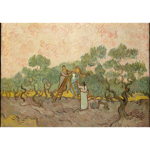 Van Gogh Vincent : Femmes Ramassant Des Olives, 1889 - Puzzle 12 Pièces