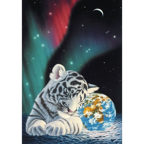 Schim Schimmel - Earth Light - Puzzle 12 Pièces