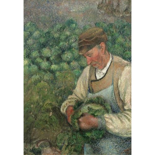 Camille Pissarro : Le Jardinier - Vieux Paysan Avec Chou, 1883-1895 - Puzzle 12 Pièces