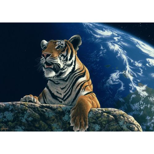 Schim Schimmel - Only One Home - Puzzle 2000 Pièces