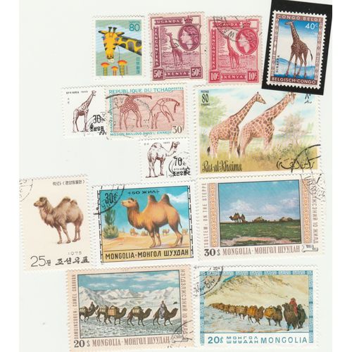 13 Timbres De Divers Pays - Animaux - Girafes Et Chameaux