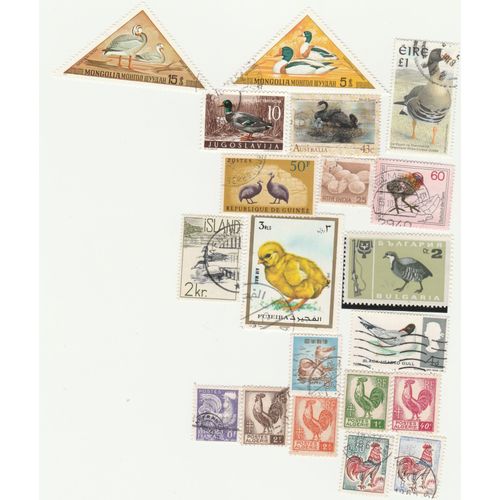 20 Timbres De Divers Pays - Animaux - Oiseaux D'élevage
