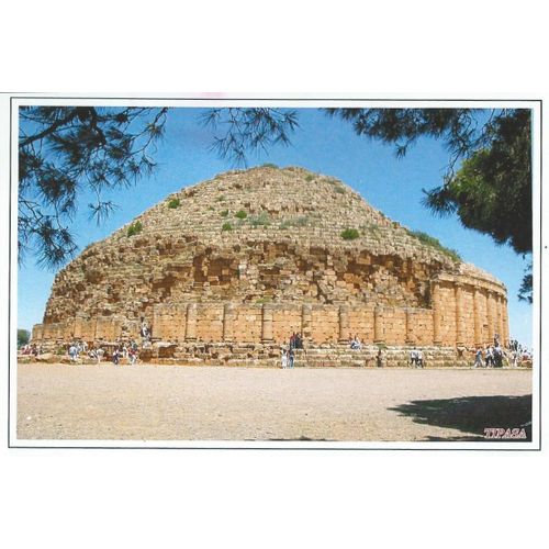 Algérie, Belle Carte Postale, Tipasa, Mausolée Royal, Surnommé Tombeau De La Chrétienne ; Carte Postale Utilisée - Écrite, Très Bon État.