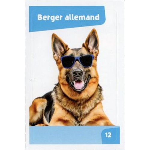 Autocollant Sticker Image Spa, Nos Amies Les Bêtes : 12 - Chien Berger Allemand / Cora Match 2024