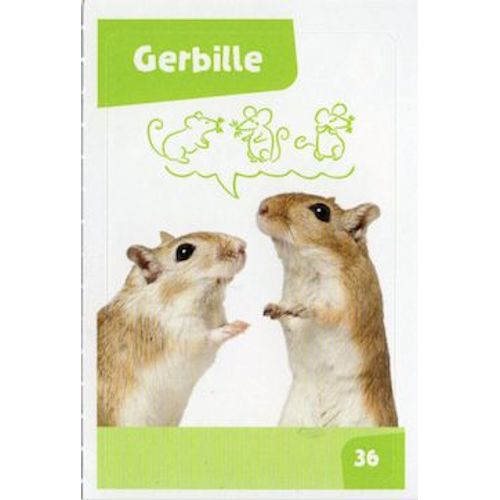 Autocollant Sticker Image Spa, Nos Amies Les Bêtes : 36 - Rongeur Gerbille / Cora Match 2024