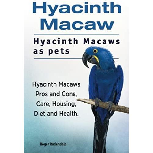 Hyacinth Macaw. Hyacinth Macaws As Pets. Hyacinth Macaws Pros And Cons, Care, Housing, Diet And Health.