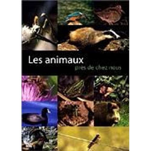 Les Animaux Près De Chez Nous