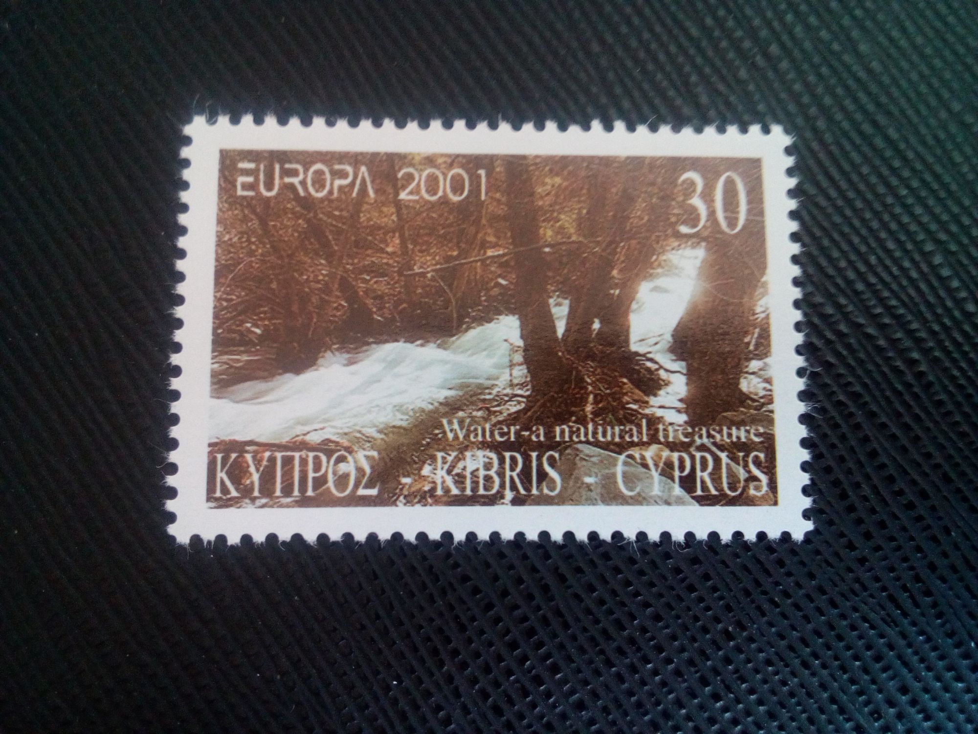 Timbre Chypre Y T 985 Europa (C.E.P.T.) - Eau - Un Trésor Naturel Rivière Diarizos 2001