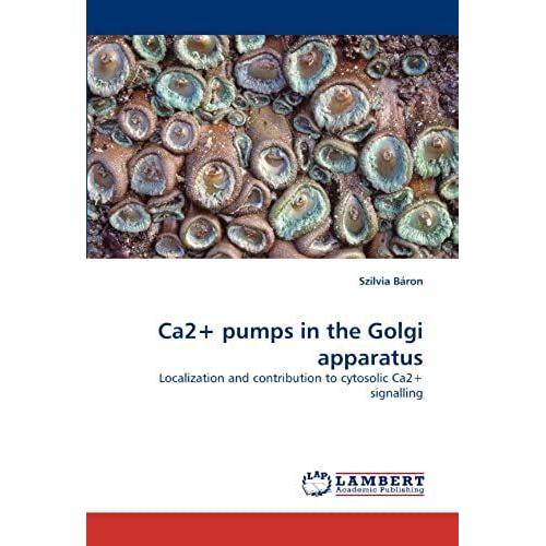 Ca2+ Pumps In The Golgi Apparatus