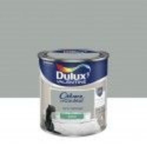 Peinture décoration finition crème de couleur satin gris alpaga 0.5l DULUX VELENTINE
